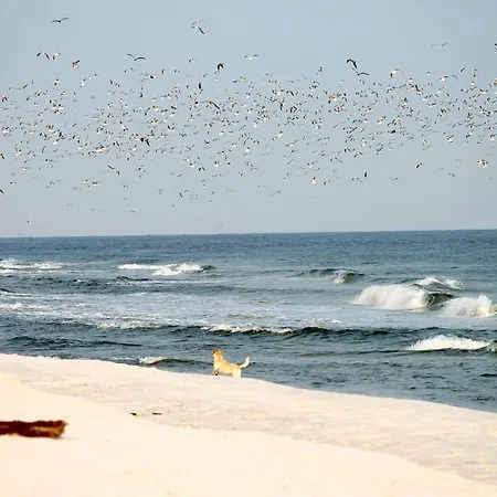 White Pearl 1.09 Apartment