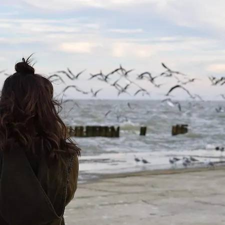 White Pearl 1.09 Timmendorfer Strand