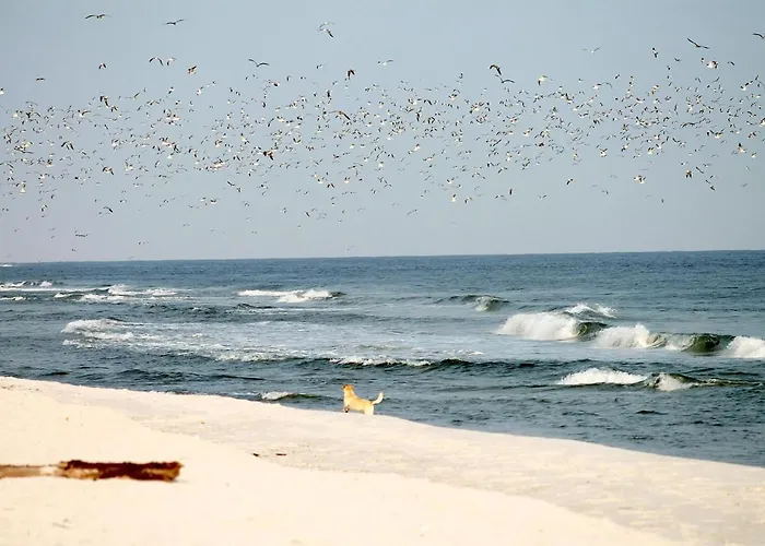 White Pearl 1.09 Apartment